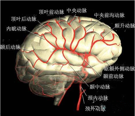 大脑中动脉狭窄患者脑血管反应性变化与脑梗死的关系
